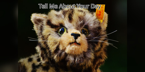 Cover image for Tell Me About Your Day