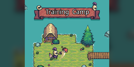 Cover image for Training Camp