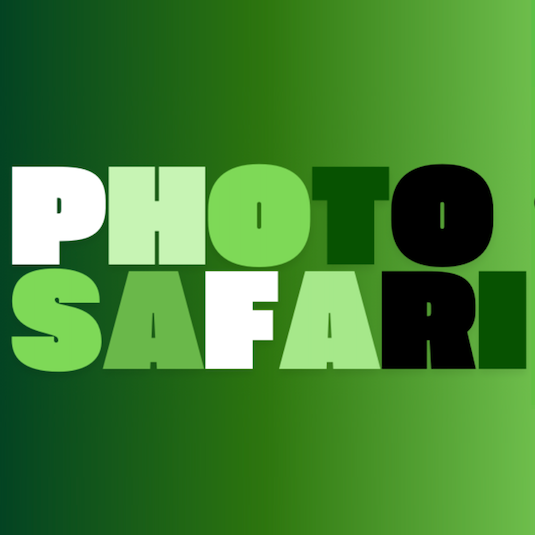 Photo Safari