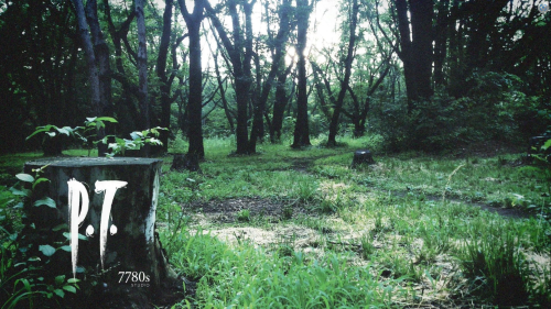 P.T. Emulated for PC cover