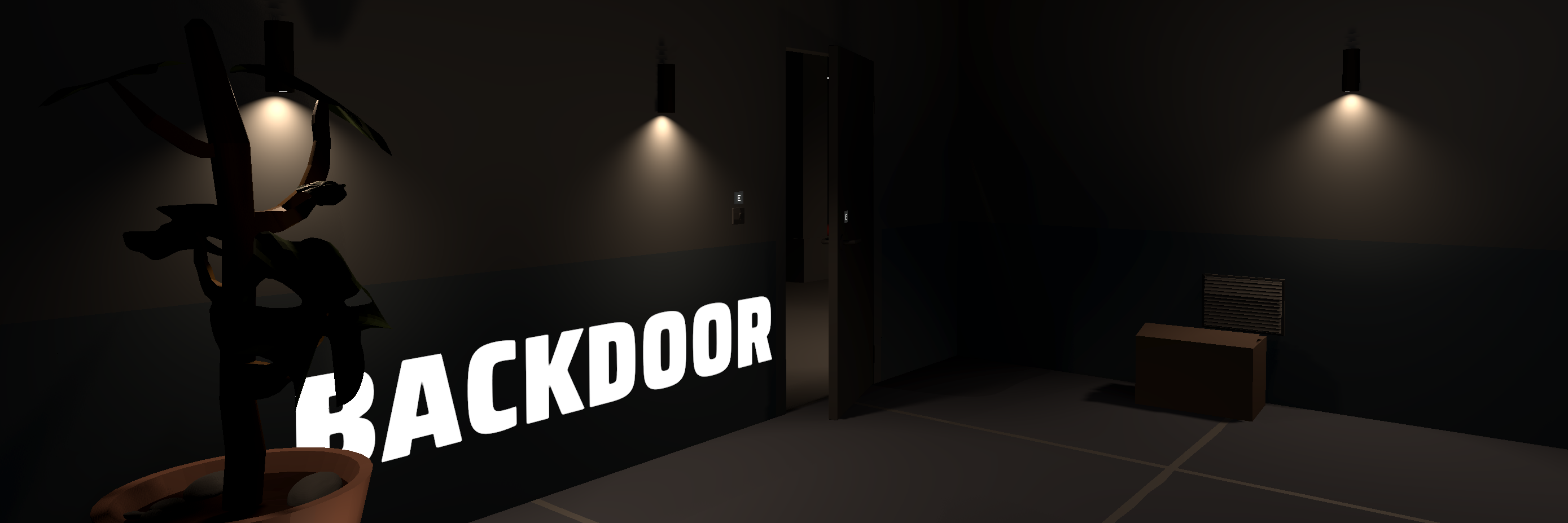 Backdoor