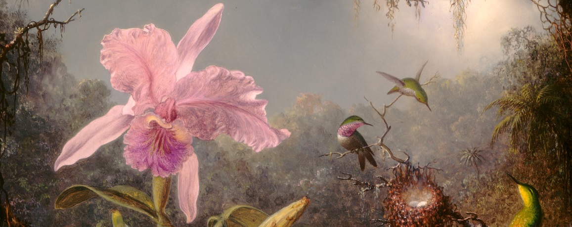 The Milgram Simulation