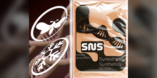 Cover image for Synesthesia Synthetica (SNS)