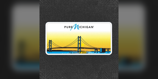 Cover image for FS25 Michigan License Plate
