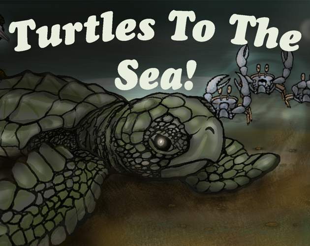 Cover image for Turtles To The Sea
