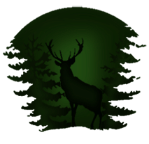 Picture The Wild