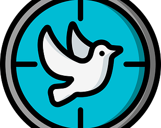 Shoot bird