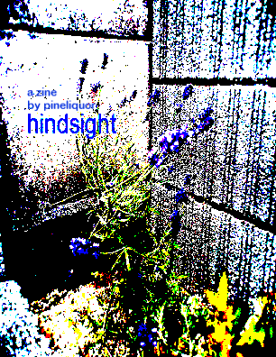 Cover image for hindsight