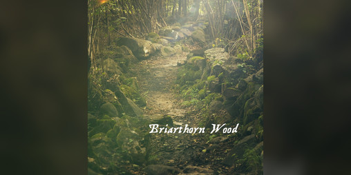 Cover image for Briarthorn Wood