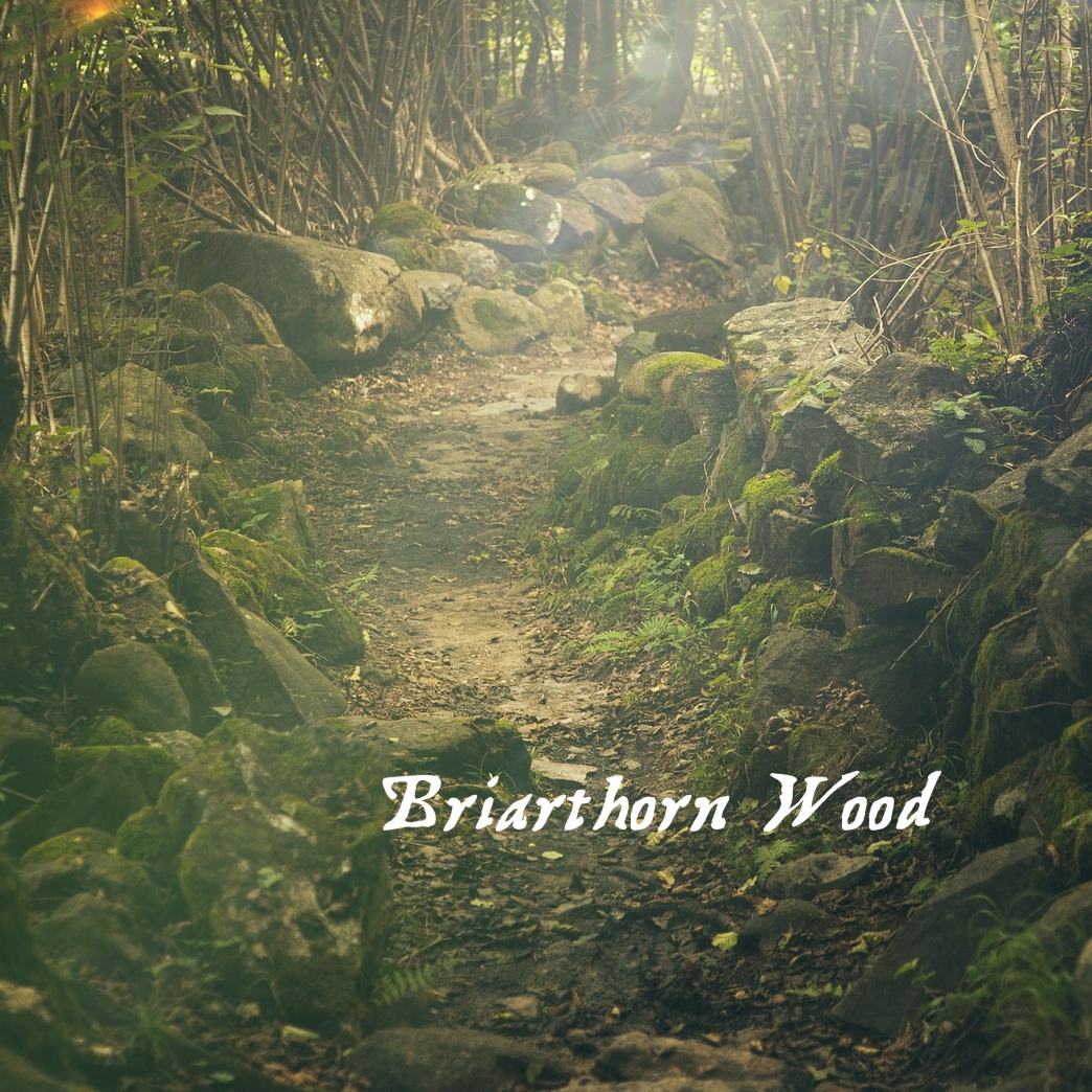 Cover image for Briarthorn Wood