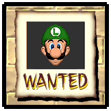 Cover image for Wanted