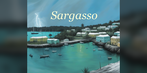 Cover image for Sargasso
