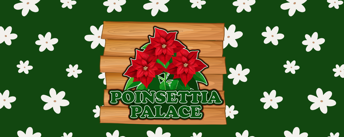 Poinsettia Palace