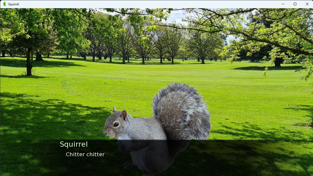 Cover image for Squirrel Game