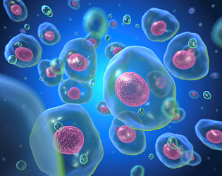 CELL ESCOSYSTEM