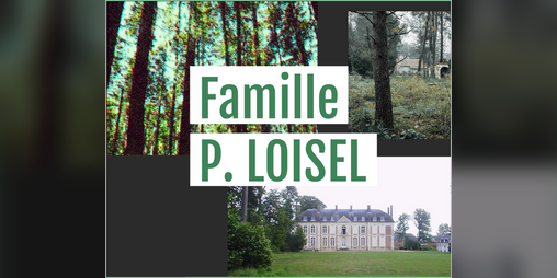 Cover image for Famille P. LOISEL