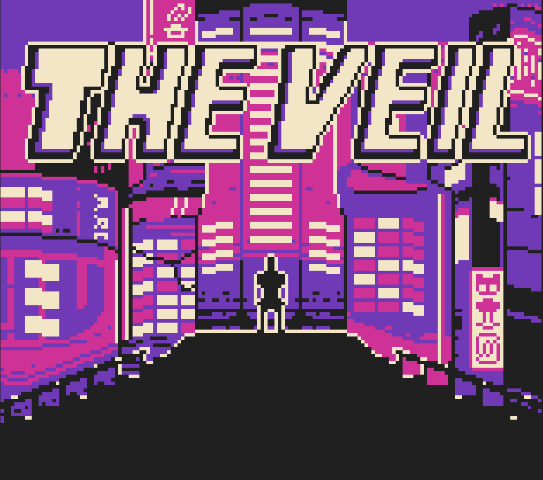 Cover image for The Veil