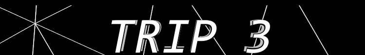 TRIP 3