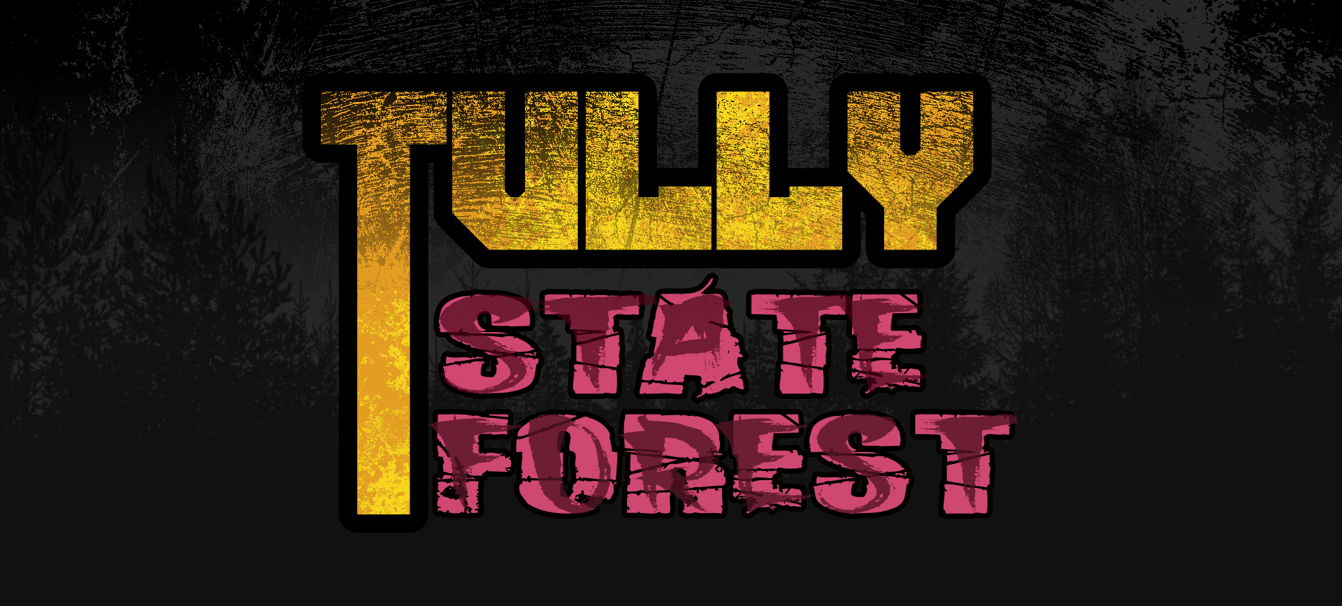 Tully State Forest