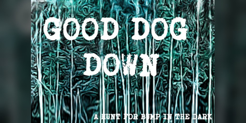 Cover image for Good Dog Down