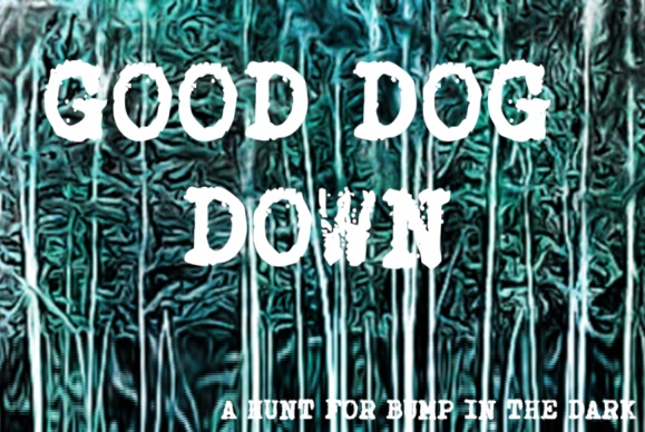 Cover image for Good Dog Down