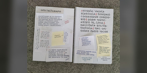 Cover image for Uncialígrafo