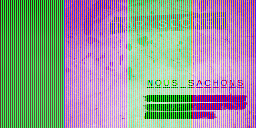 Cover image for Nous Sachons!