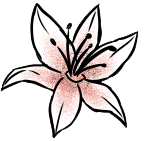 Cover image for awakening.