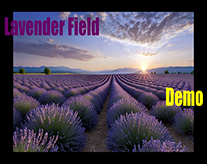 Cover image for Lavender Field Demo