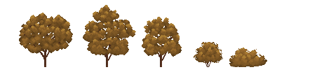 a pack of autumn trees