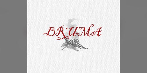 Cover image for BRUMA