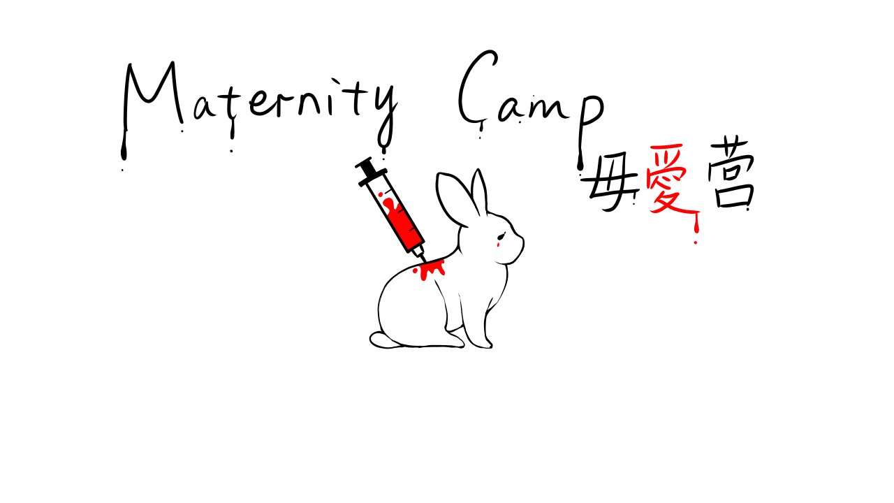 Cover image for Maternity Camp