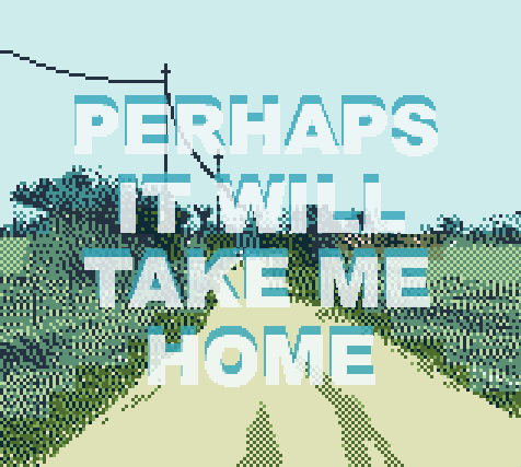 Cover image for Perhaps It Will Take Me Home
