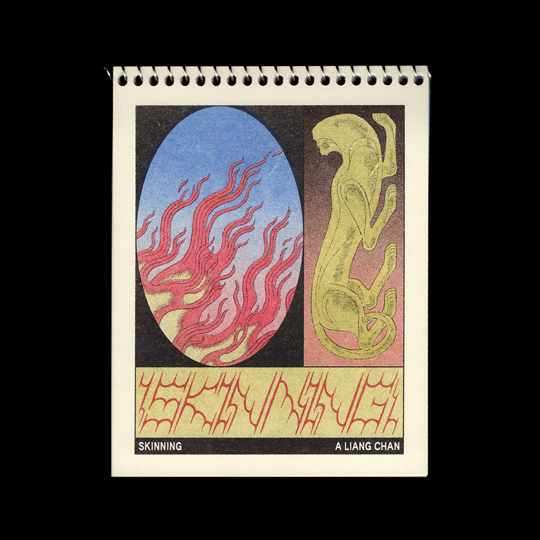 Cover image for SKINNING