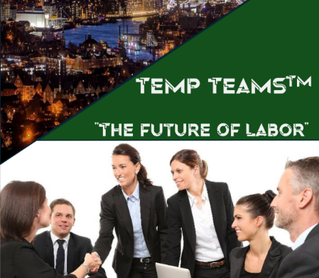 Cover image for Temp Teams