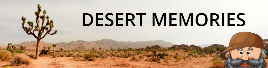 Desert Memories