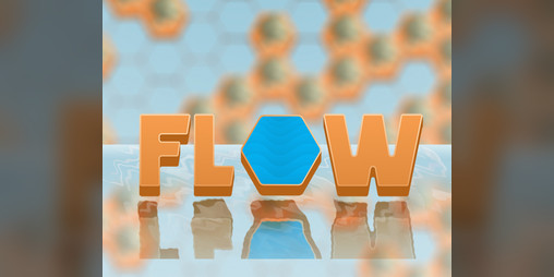 Cover image for Flow