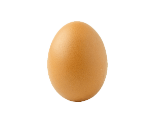 pong incremental