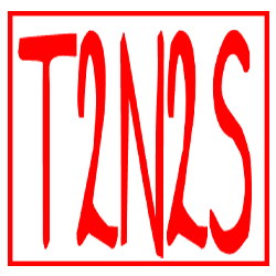 T2N2S