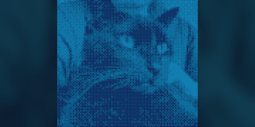 Cover image for Game about my cat Sasha