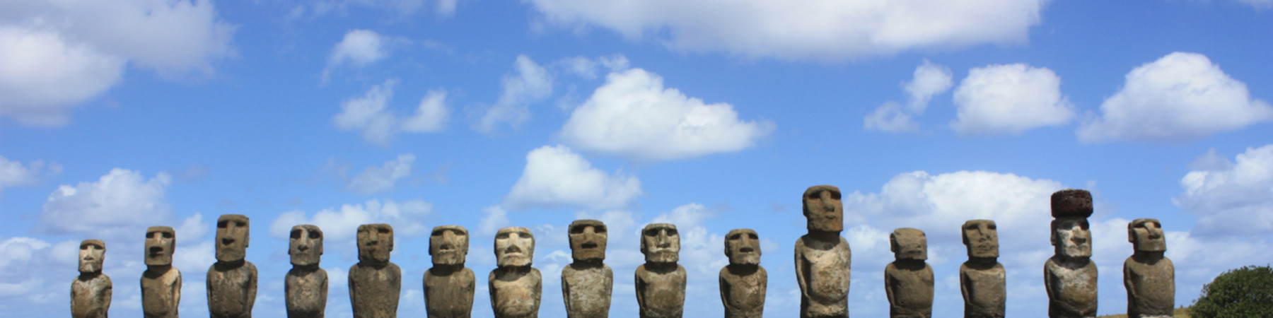 CURSE OF THE MOAI