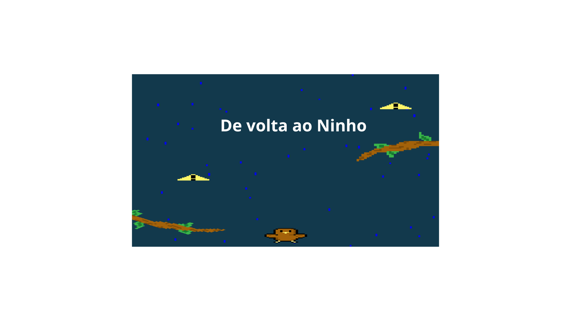 De Volta ao Ninho