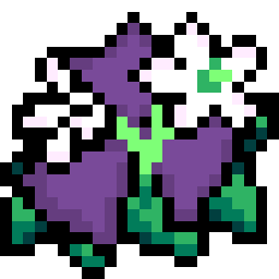 Oxalis