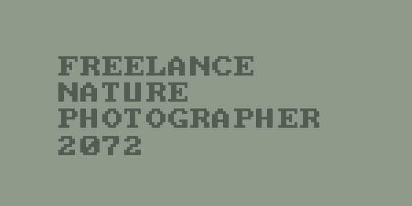 Freelance Nature Photographer 2072