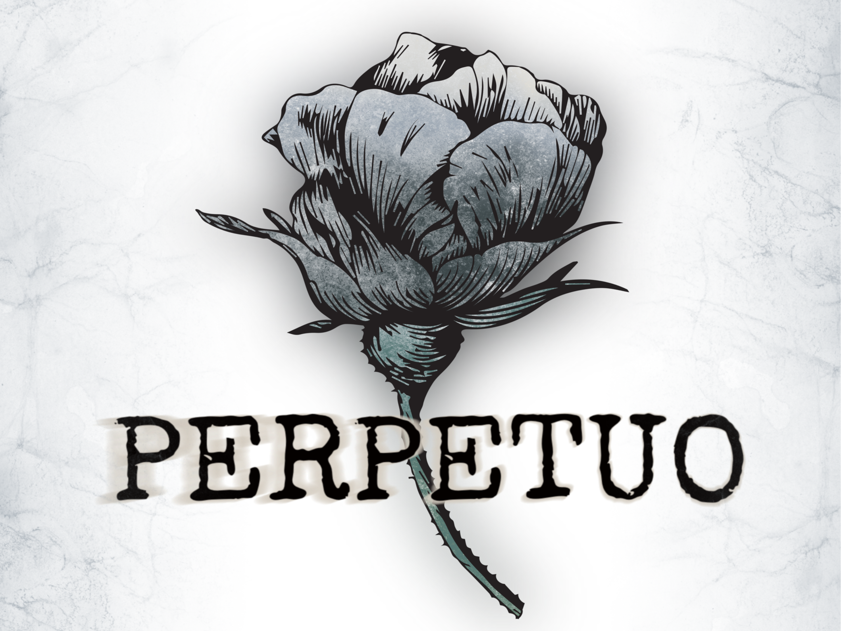Cover image for Perpetuo