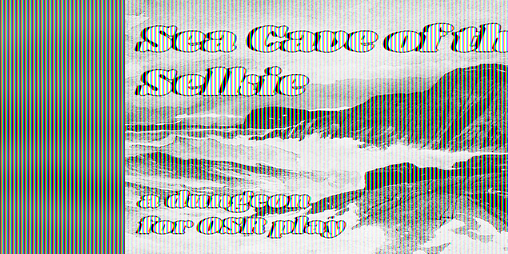 Cover image for Sea Cave of the Selkie