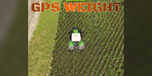 Cover image for GPS WEIGHT