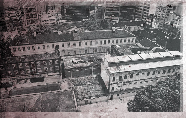 Cover image for The Compound