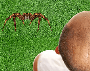 Spider-Head