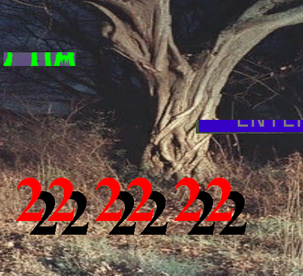 Cover image for <22>
